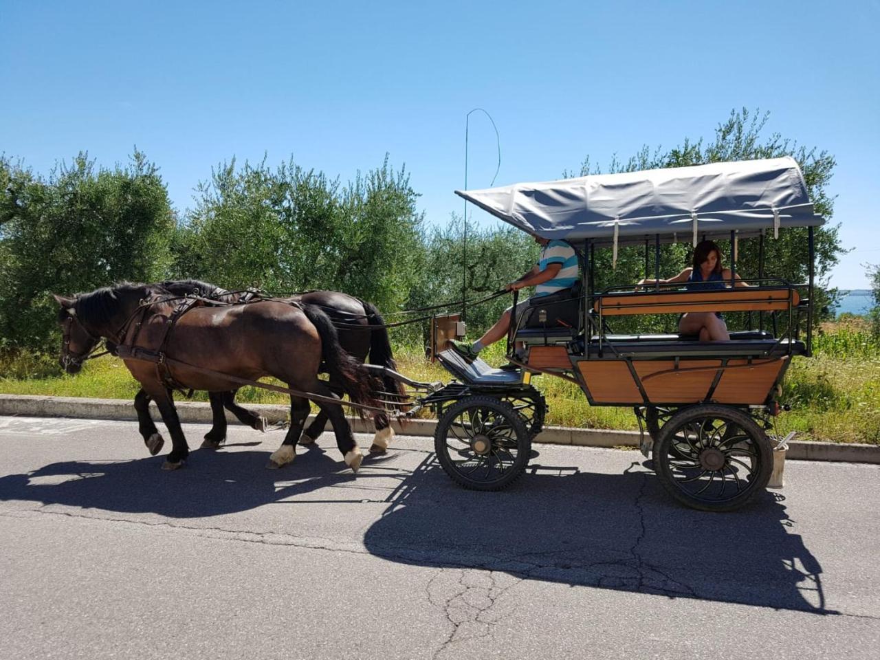 Lamasu Rioverde - Lago Di Garda سان فيليتْشي ديل بيناكو المظهر الخارجي الصورة